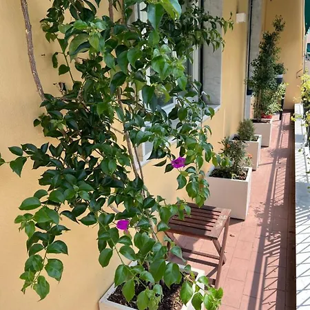 Restored Property Near Boccadasse Genoa